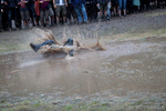 5021 Crowd, Mud-Bath